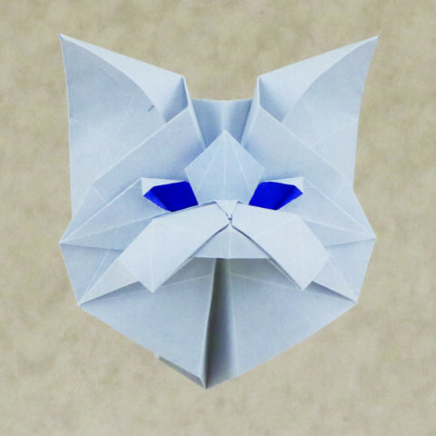 ペルシャ猫の頭：勝田恭平