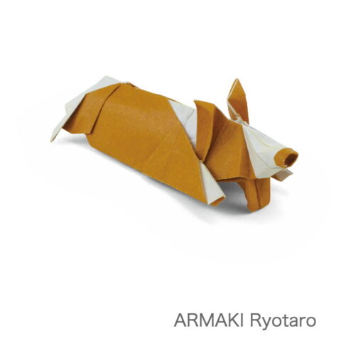Exhausted Corgi : ARAMAKI Ryotaro