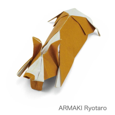 Exhausted Corgi : ARAMAKI Ryotaro