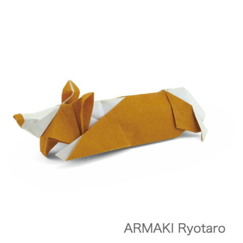 Exhausted Corgi : ARAMAKI Ryotaro