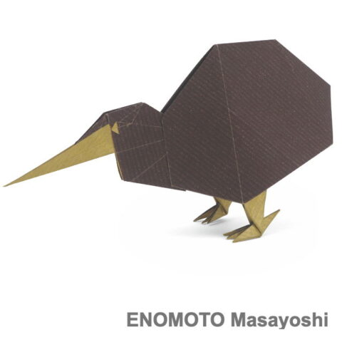 Kiwi : ENOMOTO Masayoshi