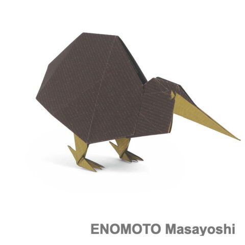 Kiwi : ENOMOTO Masayoshi