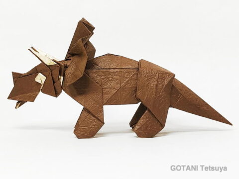 Triceratops : GONATI Tetsuya