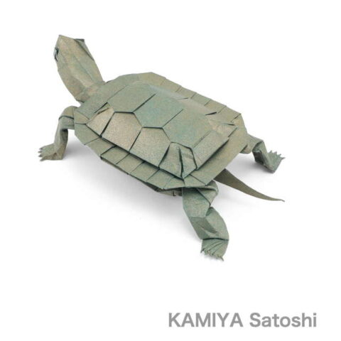 Turtle 2.0 : Kamiya Satoshi