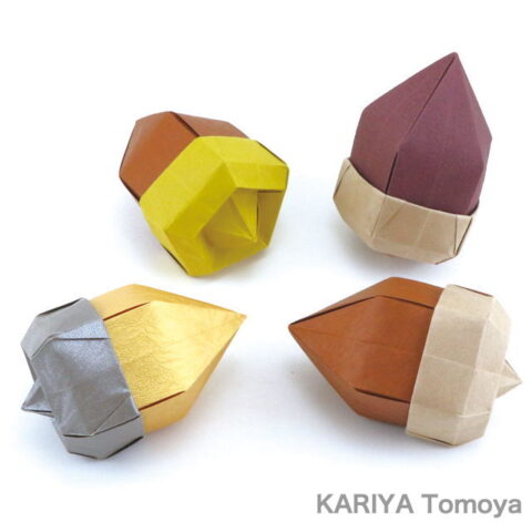 Acorn Box : KARIYA Tomoya