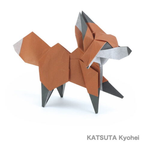 Fox 2024 : KATSUTA Kyohei