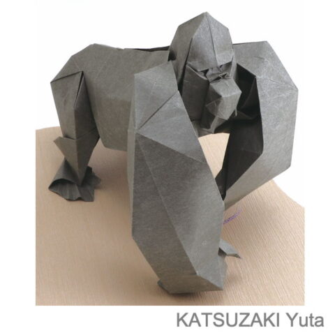 Gorilla : KATSUZAKI Yuta