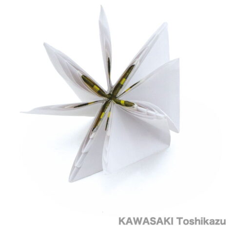 Joro Spiderweb : KAWASAKI Toshikazu