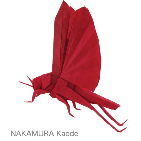 Locust : NAKAMURA Kaede