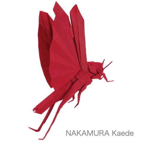 Locust : NAKAMURA Kaede