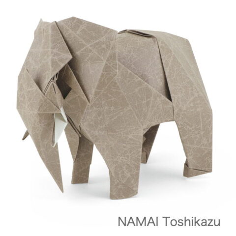 African Elephant : NAMAI Toshikazu