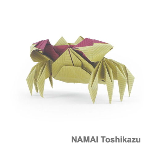 Red-Clawed Crab : NAMAI Toshikazu