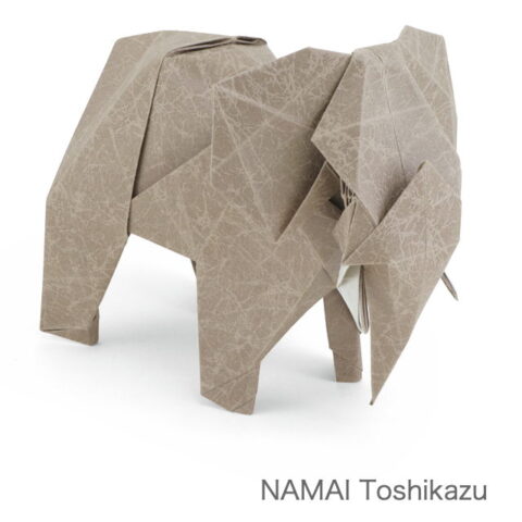 African Elephant : NAMAI Toshikazu