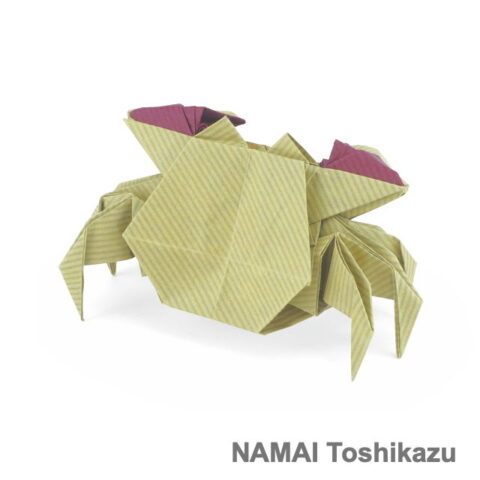 Red-Clawed Crab : NAMAI Toshikazu