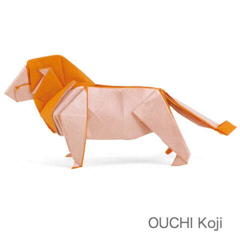 Lion 2019 : OUCHI Koji