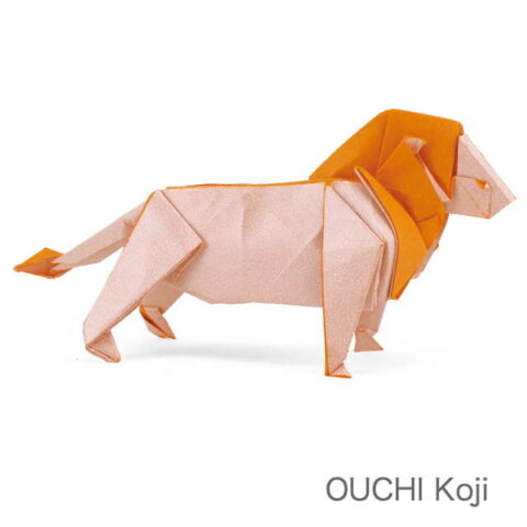 Lion 2019 : OUCHI Koji