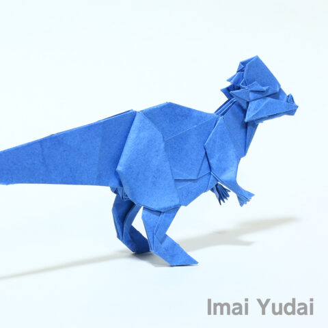 Pachycephalosaurus : Imai Yudai