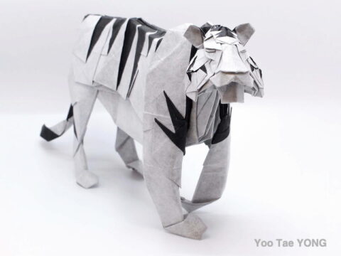 White Tiger : Yoo Tae YONG