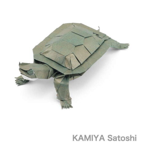 Turtle 2.0 : Kamiya Satoshi