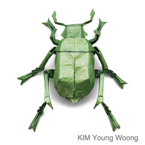 Chrysophora chrysochlora : KIM Young Woong