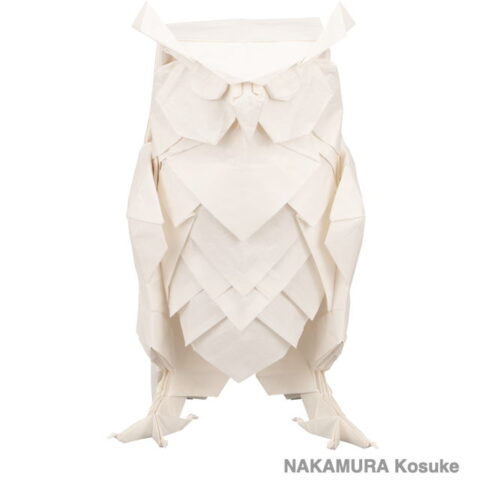 Eagle Owl : NAKAMURA Kosuke