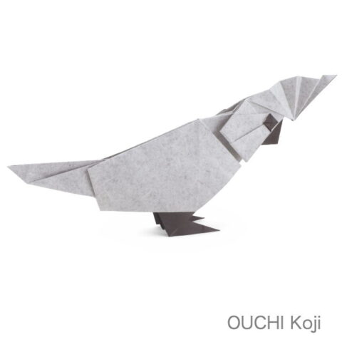 White Cockatoo : OUCHI Koji