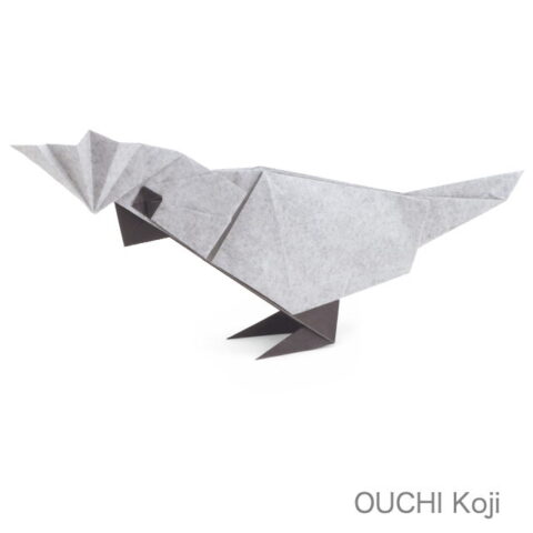 White Cockatoo : OUCHI Koji