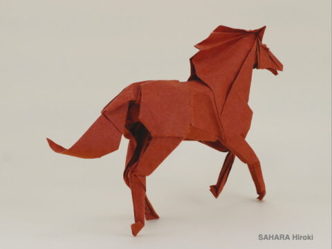 Horse : SAHARA Hiroki