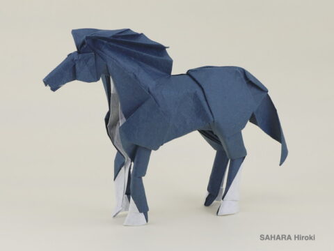 Horse : SAHARA Hiroki