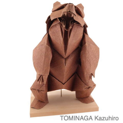 Brown Bear : TOMINAGA Kazuhiro