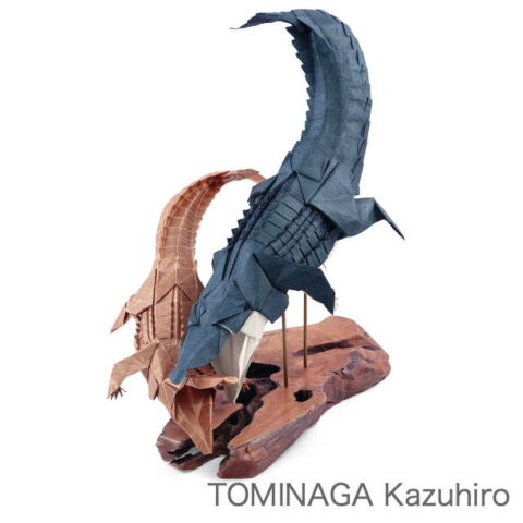 Crocodile : TOMINAGA Kazuhiro