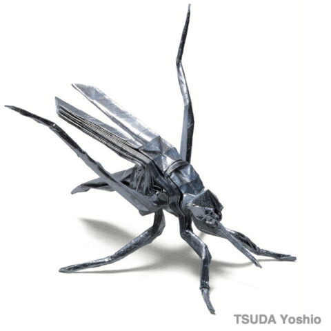 Mosquito : TSUDA Yoshio