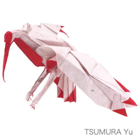 Crested Ibis : TSUMURA Yu