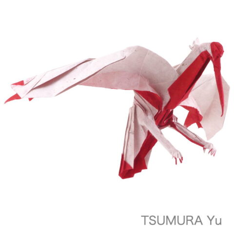 Crested Ibis : TSUMURA Yu